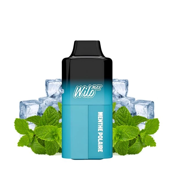 5000-puff-wilo-max-menthe-polaire-wilo.jpg